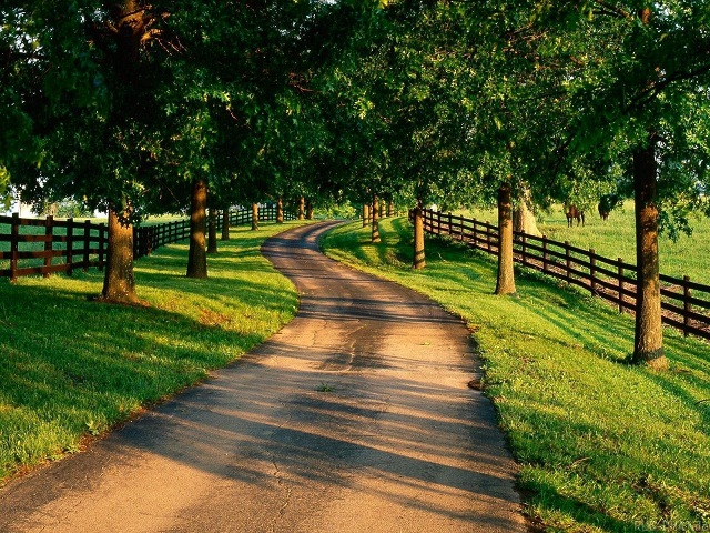 快速恢复可靠的短信测压app